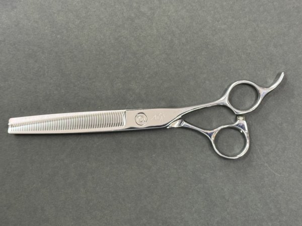 画像1: ArieS-700 (1)